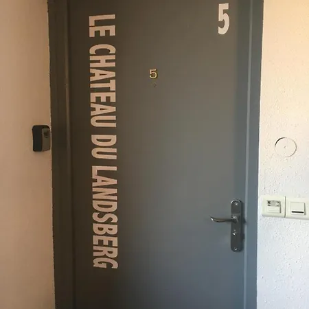 Le 5 - Le Chateau Du Landsberg Sélestat